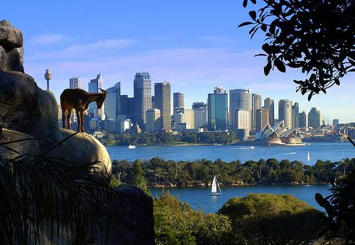 Sydney Zoo