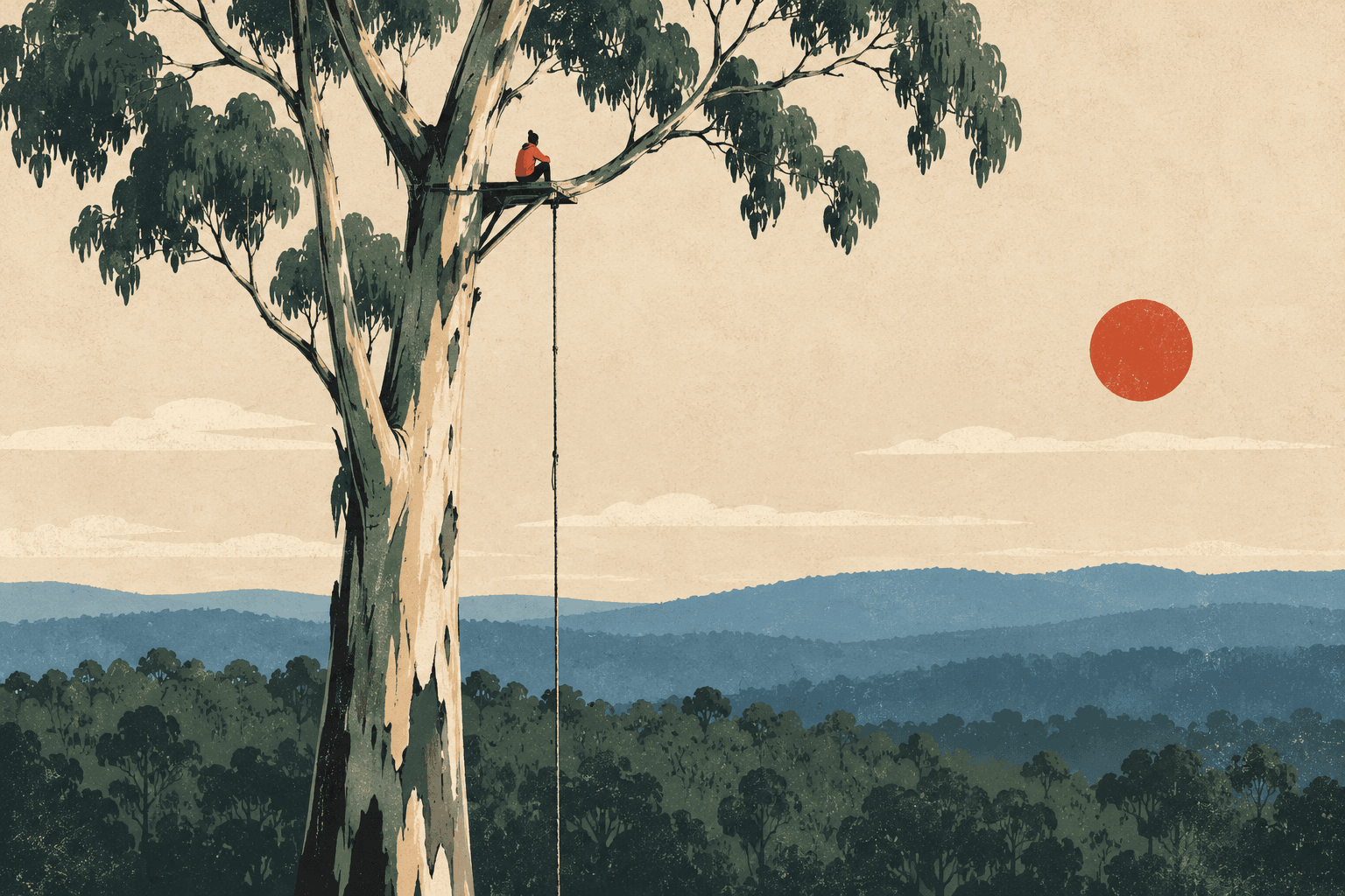 A person living on a small platform high in a eucalyptus tree above a Tasmanian landscape.